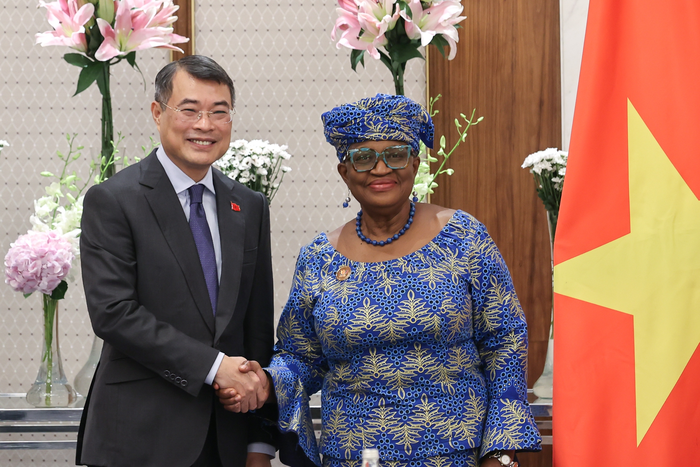 Thủ tướng đề nghị WTO mở rộng chương trình nghị sự sang thương mại số, AI