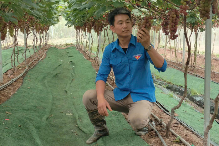 Làm sạch từ chuồng trại đến đồng ruộng