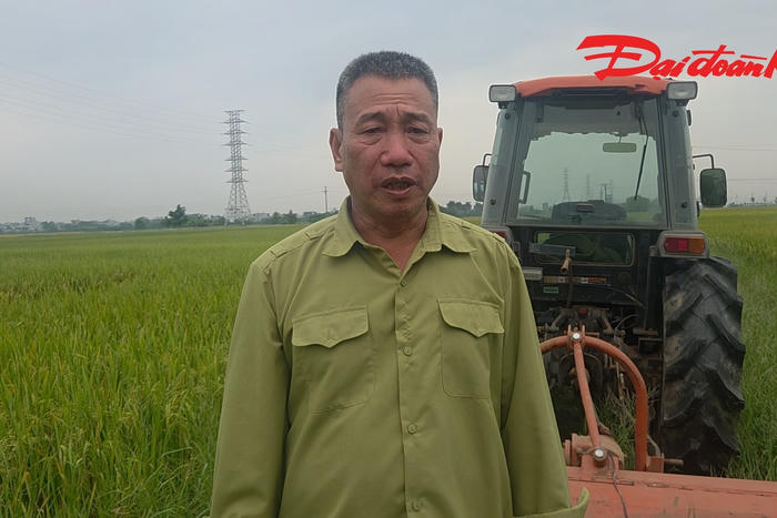 Nông dân đại điền ở Hưng Yên