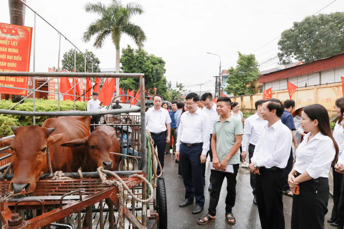 Hướng tới Tháng cao điểm vì người nghèo: Từ mái nhà đại đoàn kết đến sinh kế bền vững