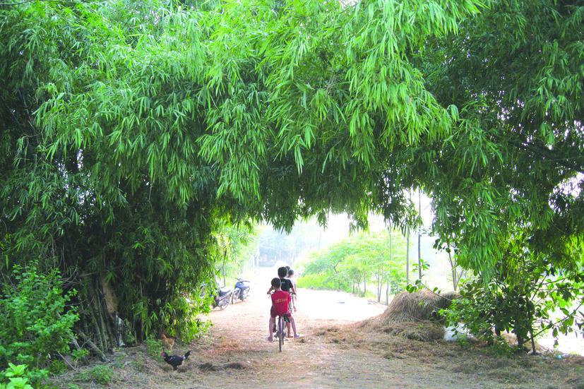 Thân thương làng Việt