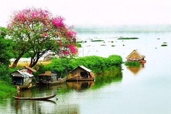Sông Hồng ở đầu cành