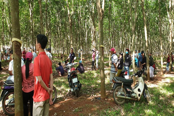 daidoanket.vn