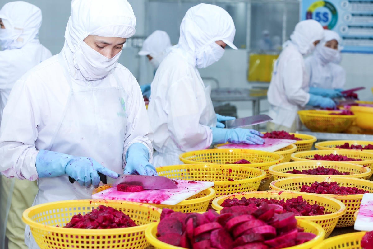 Biến Halal thành động lực thực chất cho tăng trưởng