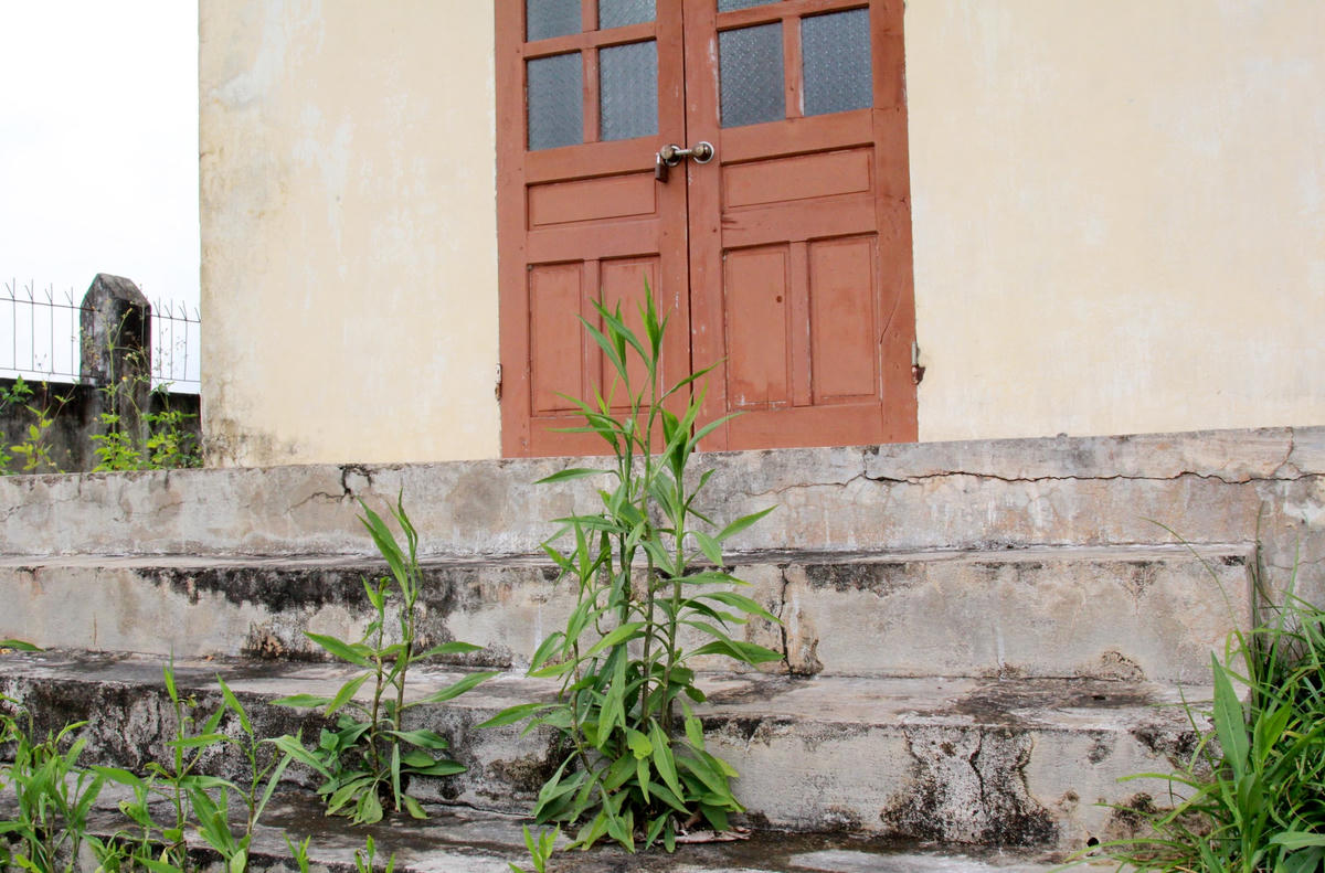 Cỏ mọc um tùm.