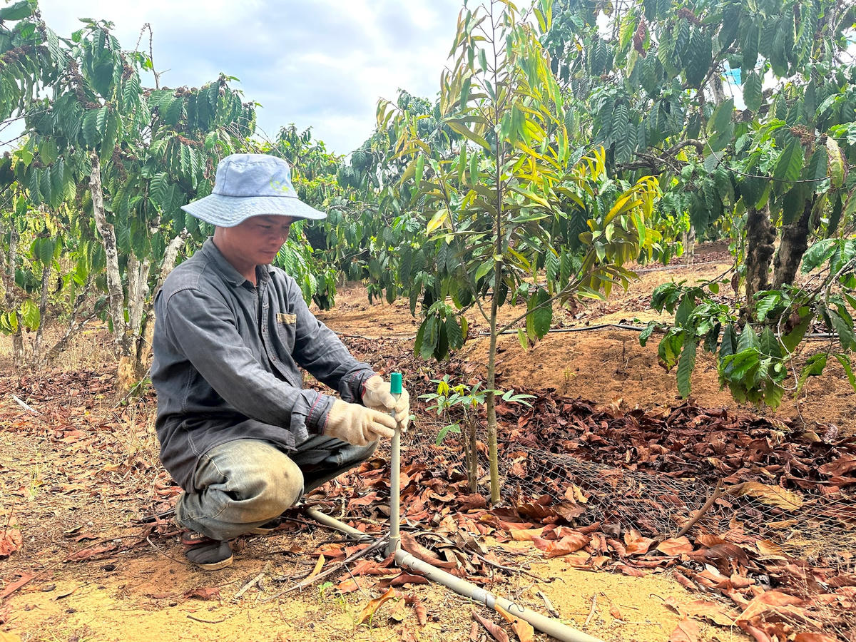 Ông Bùi Hữu Trí bỏ ra khoảng 43 triệu đồng để khoan giếng và 15 triệu đồng lắp đặt hệ thống tưới tiết kiệm nước vì hồ thủy lợi cạn nước.