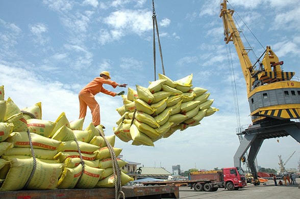 Dự báo giá gạo xuất khẩu sẽ tiếp tục tăng trong quý 1/2023.