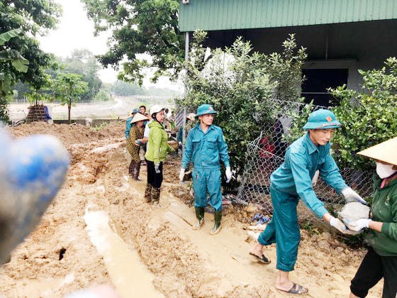 Vận chuyển gần 100 khối đá hộc, 50 chiếc lưới thép cùng hàng loạt cọc tre các loại... để khắc phục các khu vực bờ sông bị sạt lở.