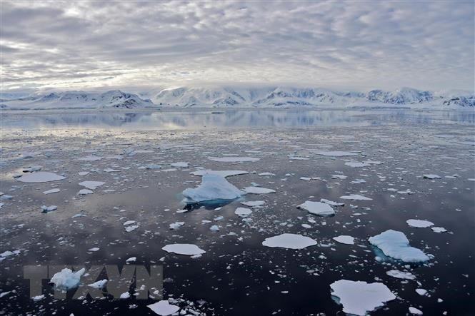 Băng trôi tại Vịnh Chiriguano, quần đảo Nam Shetland, Nam Cực, ngày 7/11/2019. (Ảnh: AFP/TTXVN).