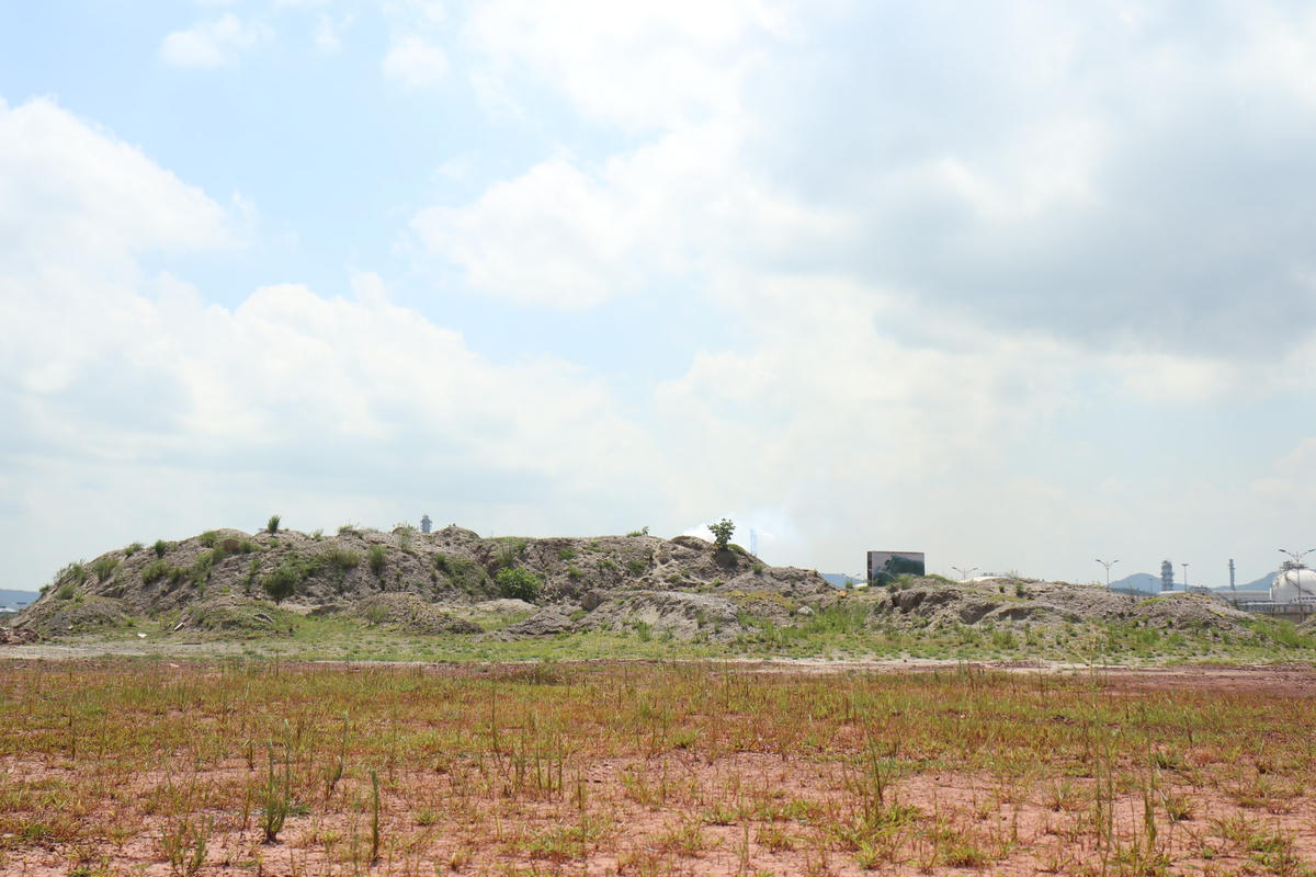 Theo ông Nguyễn Tiến Hiệu, Trưởng Ban quản lý Khu kinh tế Nghi Sơn và các Khu công nghiệp tỉnh Thanh Hóa cho biết, hiện tỉnh đang báo cáo Bộ Công Thương, Thủ tướng Chính phủ để điều chuyển dự án nhà máy nhiệt điện này thành dự án điện khí, không dùng nhiệt than.