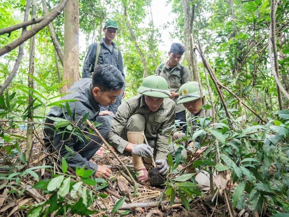 Các chiến binh trong biệt đội đang tháo gỡ một cái bẫy của thợ săn.