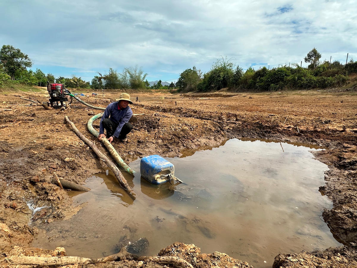 Ông Bùi Văn Tươi chắt chiu số nước ít ỏi còn lại trong các vũng nước nhỏ để tưới cho 1,5ha cà phê của gia đình.