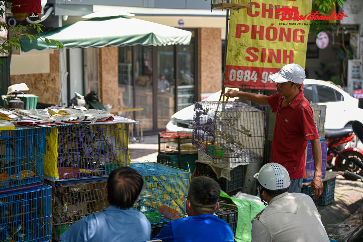 “Dù là chim phóng sinh, nhưng những con chim đều được tôi lựa chọn khá kỹ càng. Những chú chim phải khỏe mạnh, béo tốt sẽ được tôi lựa chọn mua để phóng sinh” - Anh Cường chia sẻ.