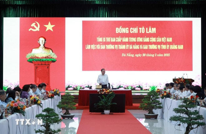 ttxvn-tong-bi-thu-to-lam-lam-viec-voi-ban-thuong-vu-thanh-uy-da-nang-va-ban-thuong-vu-tinh-uy-quang-nam-2903-2.jpg