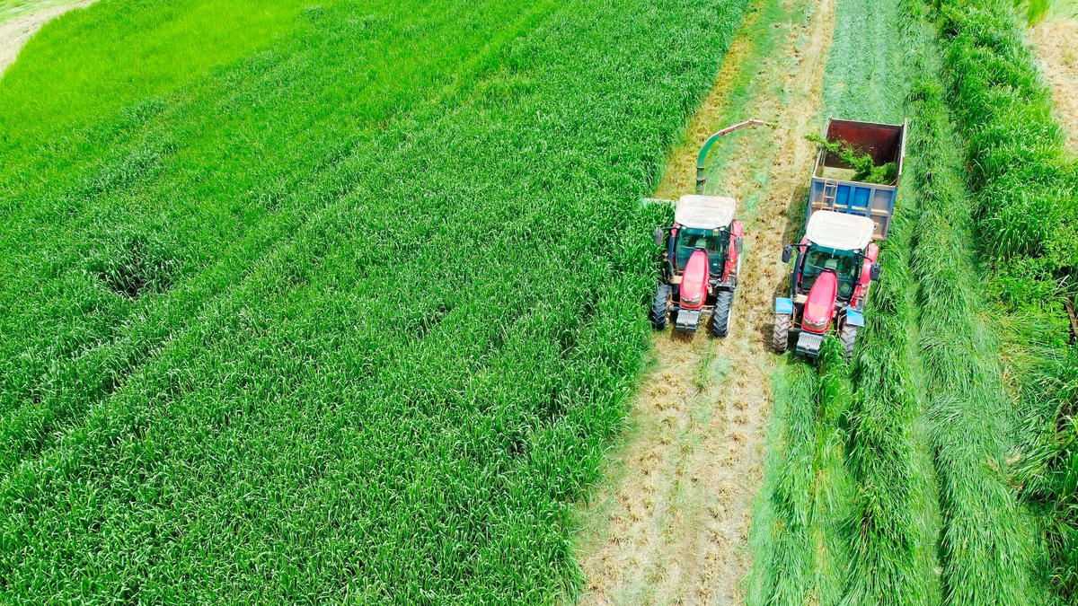 Farm tour VBCSD - 11b