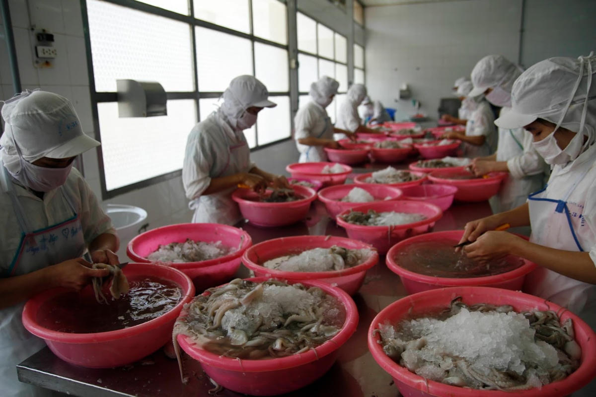 Xuất khẩu thủy sản đang dần lấy lại đà tăng. Ảnh: Quang Vinh.