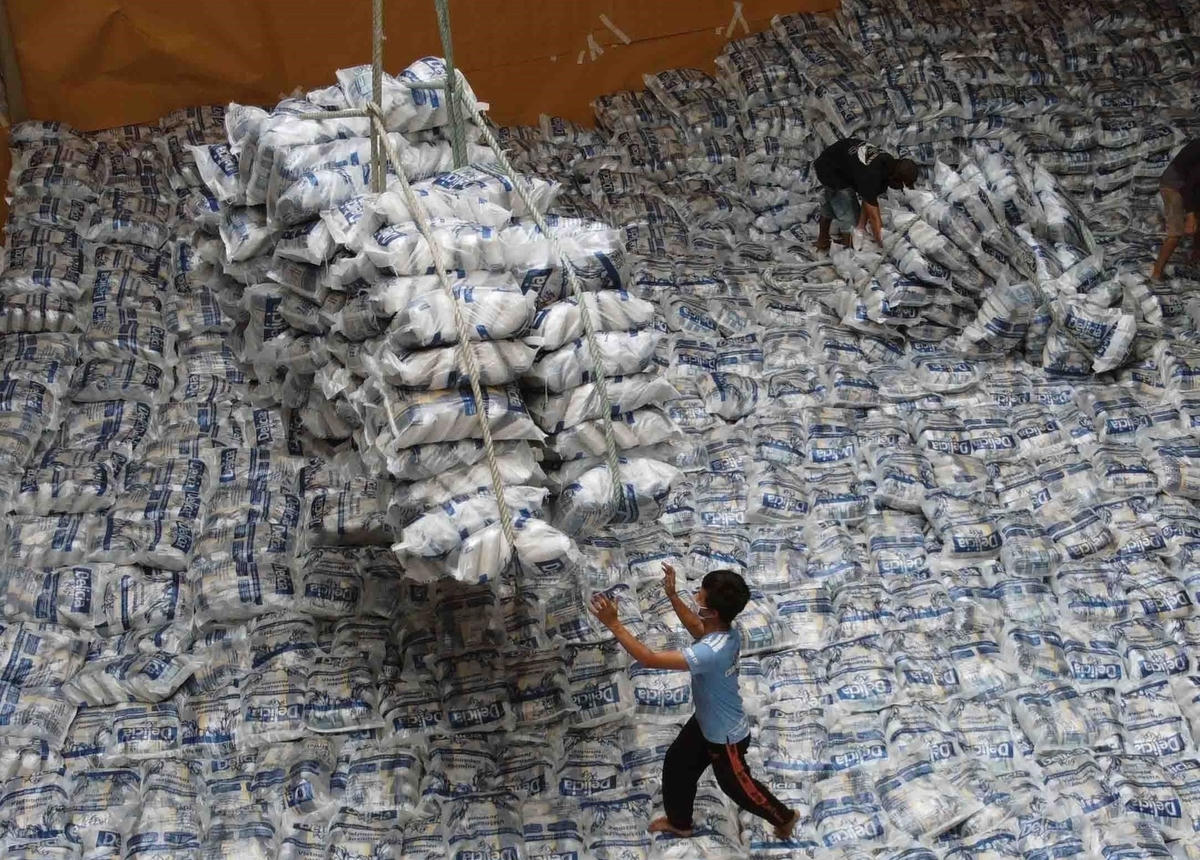 Hoạt động xuất khẩu gạo tại Tổng Công ty Lương thực miền Nam. Ảnh: Vũ Sinh/TTXVN.