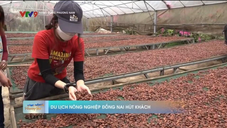 Gắn kết du lịch nông nghiệp với tiêu thụ sản phẩm OCOP
