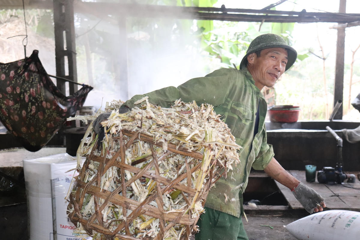 Bã mía sau khi rời khỏi máy nghiền sẽ được đưa đi phơi khô.