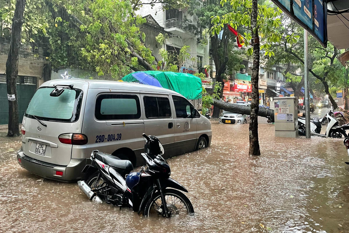 Sau khi bị cây xanh đè lên, tài xế chui ra được khỏi xe taxi, lội nước vào trú tại nơi an toàn.