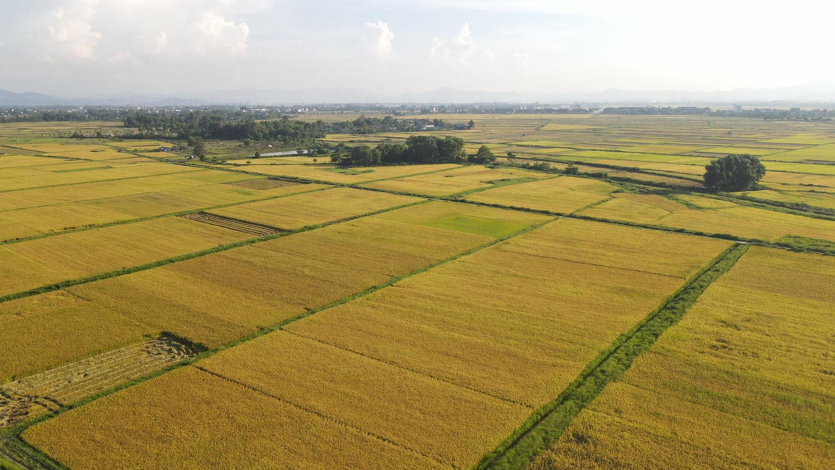 dji_0915.jpg