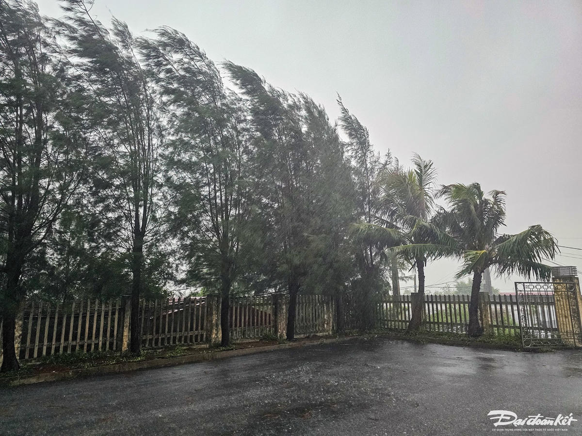 Ghi nhận vào lúc 7h sáng nay (ngày 22/7) tại xã ven biển Kim Đông (tỉnh Ninh Bình), do ảnh hưởng của bão số 3 (Wipha) khiến mưa lớn kéo dài từ đêm 21/7 đến rạng sáng. Ảnh: Đình Minh 