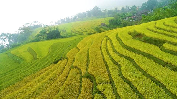 Giấc mơ có thật khi được tận mắt chiêm ngưỡng, khám phá cảnh sắc tuyệt vời nơi đây. Con người cùng sống, cùng hòa quện với thiên nhiên mát lành, trù phú.