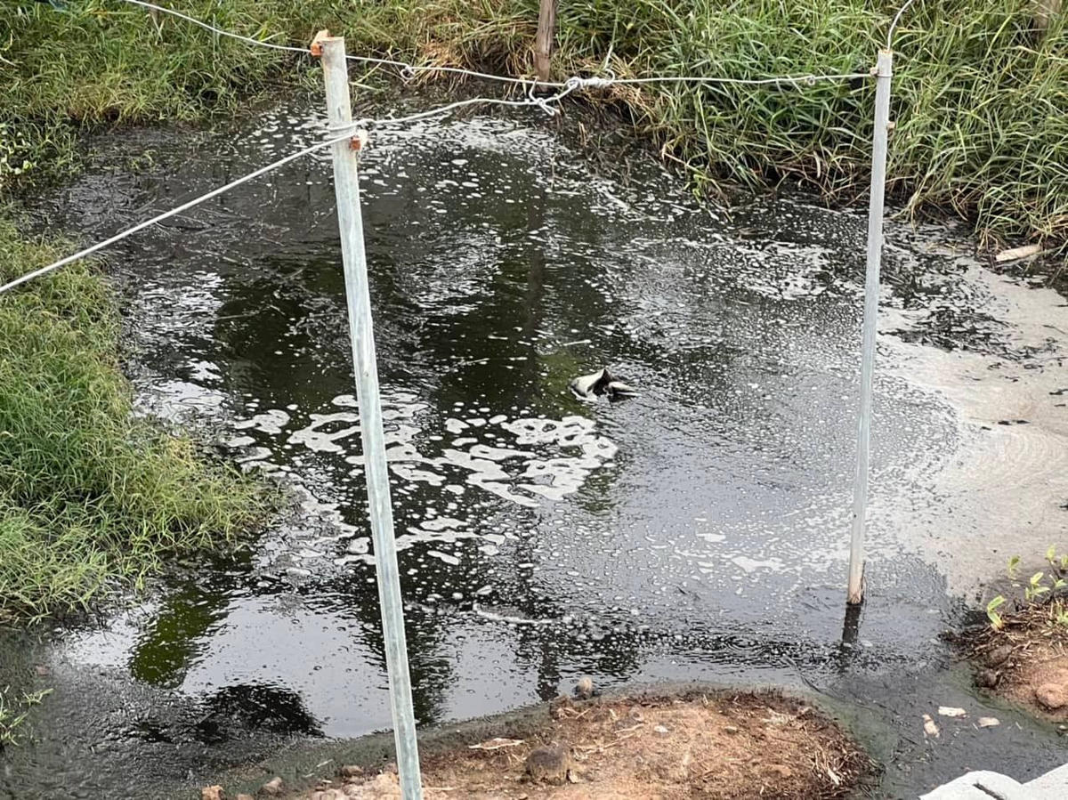 Mùi từ nguồn nước thải khiến người dân khó thở