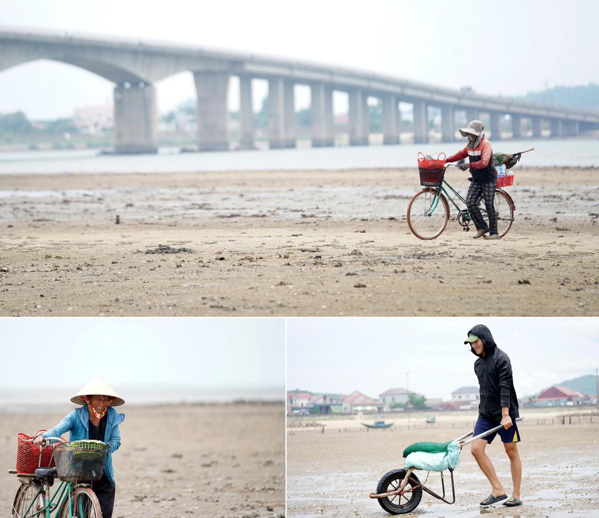 Khi thuỷ triều bắt đầu lên cũng là lúc họ mang chiến lợi phẩm xuyên qua bãi bồi ven biển để trở về.