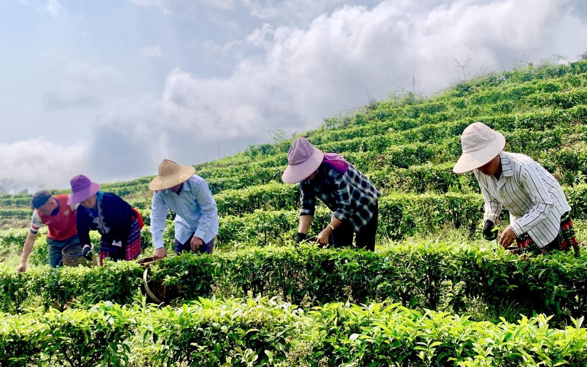 Nguồn vốn tín dụng chính sách đã giúp gần 144.000 lượt hộ nghèo và các đối tượng chính sách khác vay vốn (ảnh minh họa).