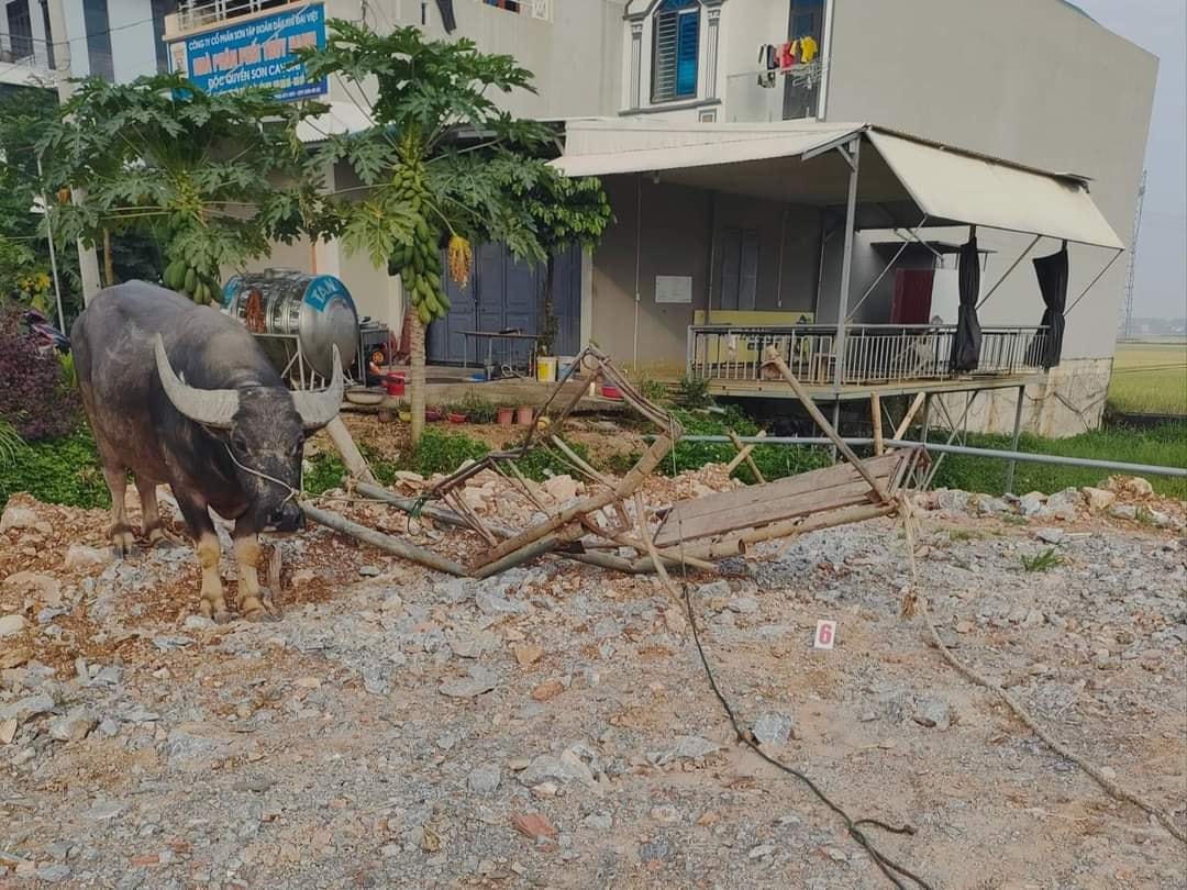 Chiếc xe trâu nát bét sau vụ tai nạn.