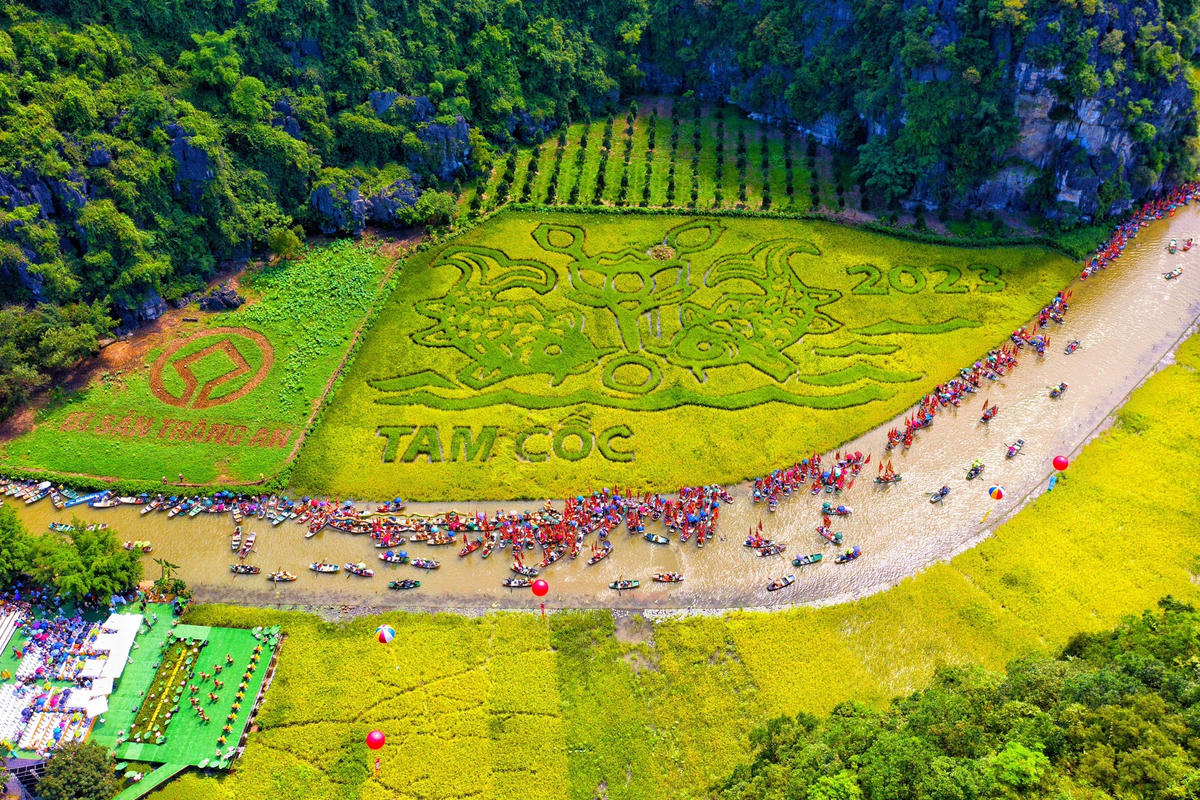 Bức tranh bằng lúa tên "Lý ngư vọng nguyệt" hay còn gọi là tranh cá chép chơi trăng trên cánh đồng lúa rộng hơn 9.500 m2.