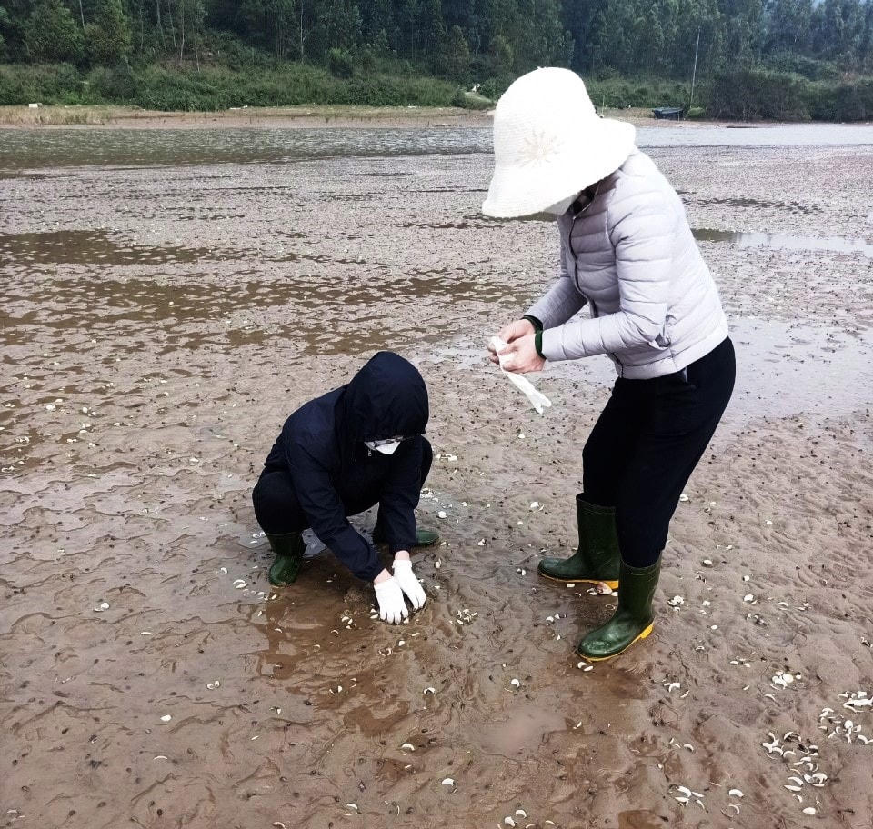 Cơ quan chức năng Hà Tĩnh lấy mẫu xét nghiệm, tìm nguyên nhân ngao chết.