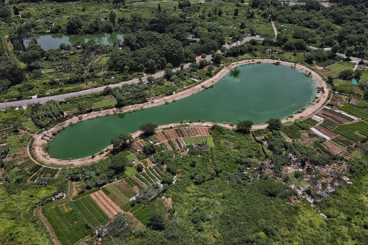 Xung quanh các hồ nước được người dân tận dụng để trồng cây cối.