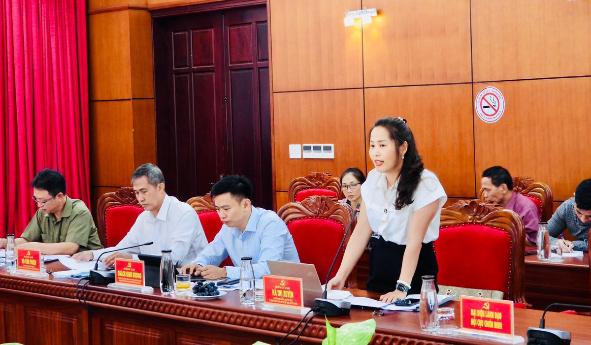Bà Hà Thị Xuyên, thành viên đoàn kiểm tra phát biểu.