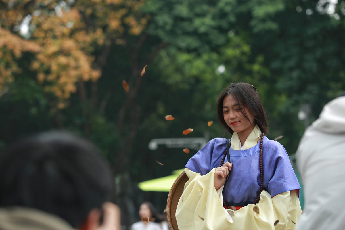Mỗi khi có cơn gió nhẹ thổi qua, những chiếc lá vàng lại xao động rơi nhẹ xuống con phố Hoàng Hoa Thám, tạo cảm giác giống như đang ở xứ sở kim chi.