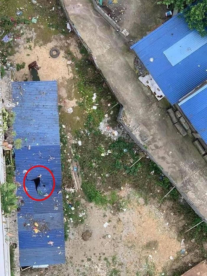 Người đàn ông rơi từ tầng 11 toà chung cư xuống mái tôn, tử vong tại chỗ.