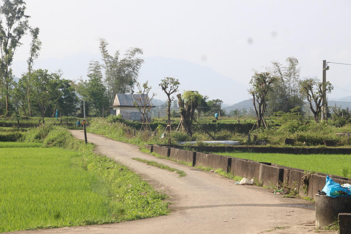 Dự án đường bê tông nông thôn tránh lũ phía đông xã Tam Ngọc chưa triển khai.