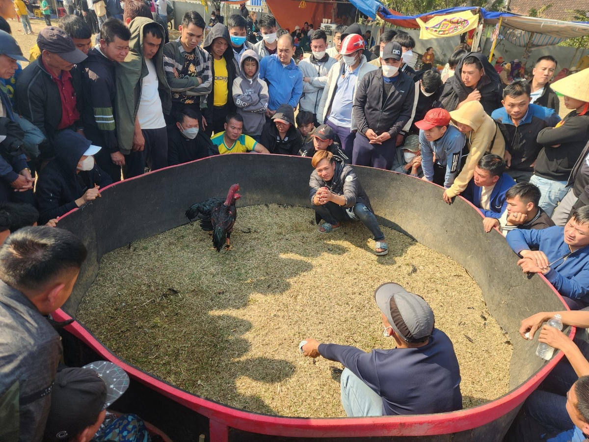 Tại lễ hội Mường Khô, có những trò chơi, trò diễn đặc sắc như chơi mảng, chọi gà, đánh đu, đánh cồng chiêng...