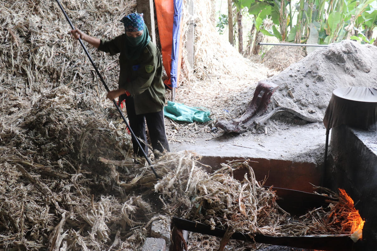 Là người gắn bó với nghề làm mật mía nhiều năm nay, chị Đặng Thị Duyên (trú khu phố Lâm Thành, thị trấn Kim Tân), cho biết tầm đầu tháng 12 Âm lịch, mỗi ngày gia đình nấu khoảng 500 kg mật. Công việc của người làm mật bắt đầu từ 4h sáng đến khoảng 9-10h đêm.