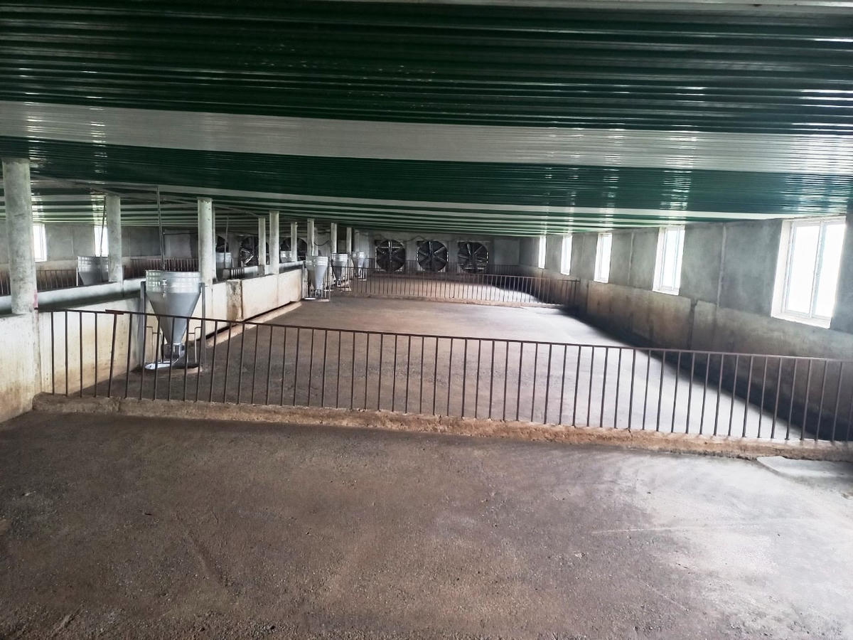 Nhiều nông hộ, trang trại ở Hà Tĩnh “treo chuồng”.