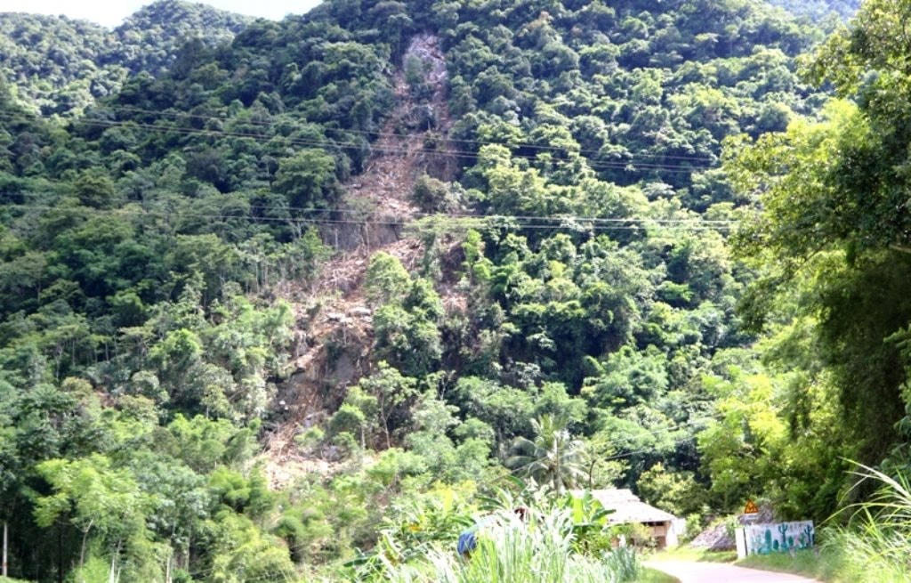 Anh bai duoi