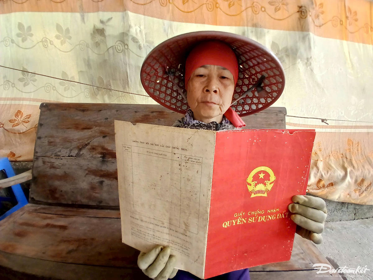 Năm 2008, toàn bộ diện tích trên 100ha từ thôn 3 đến thôn 7, xã Hạ Long được đưa vào quy hoạch sân golf. Bất đắc dĩ, bà Nguyễn Thị Tình (thôn 5) cùng hàng trăm hộ dân khác ở xã Hạ Long phải sống trong cảnh “ở đậu” ngay trên chính mảnh đất của mình.