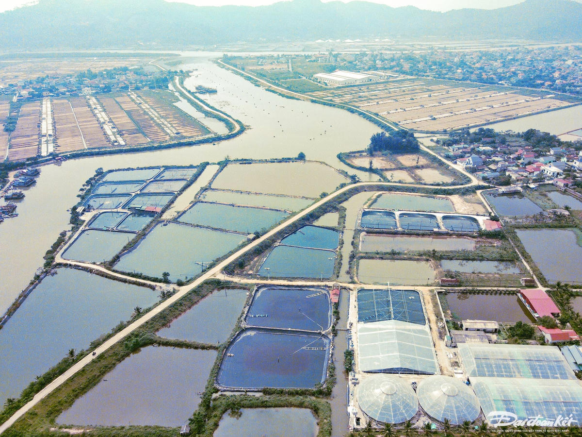 dji_fly_20241010_104158_671_1728531737492_photo (1)