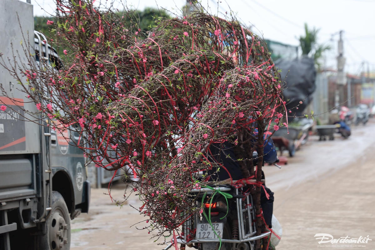 W_dao_nhat_tan-le-khanh7.jpg