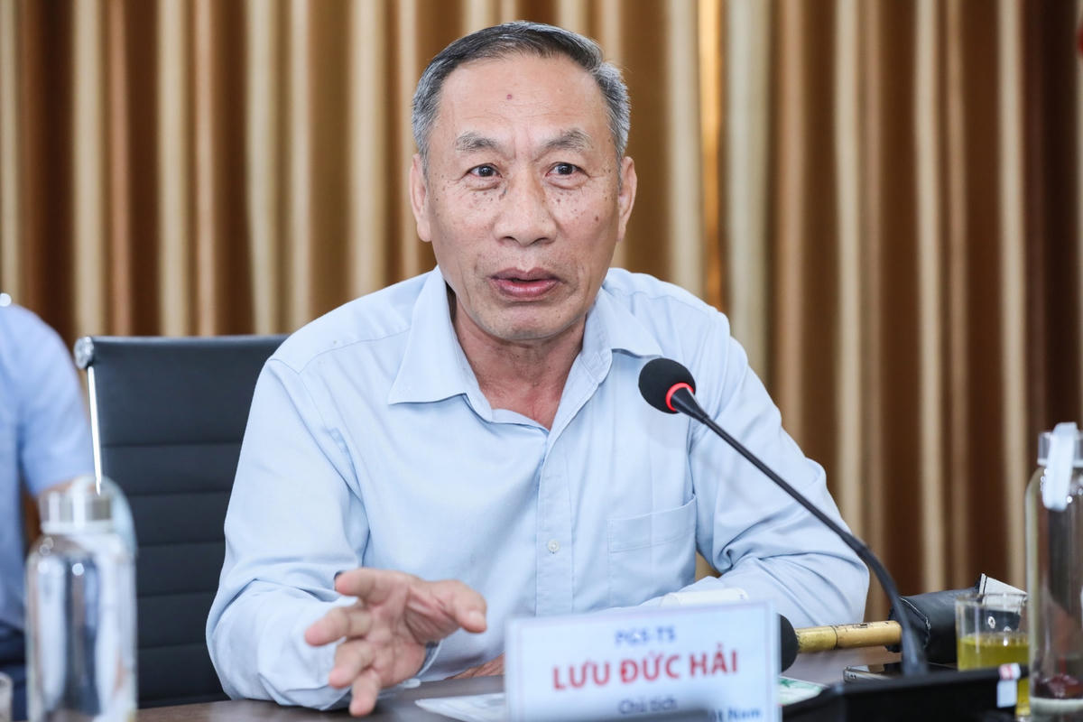 PGS.TS Lưu Đức Hải. Ảnh: Quang Vinh.