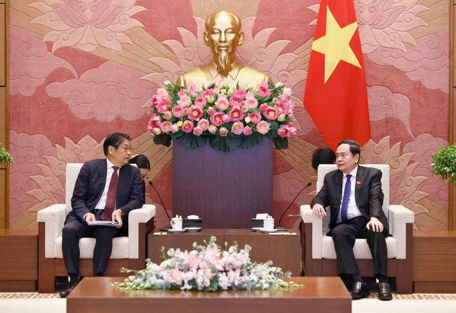 vna-potal-chu-tich-quoc-hoi-tran-thanh-man-tiep-dai-su-nhat-ban-tai-viet-nam-ito-naoki-7642182.jpg