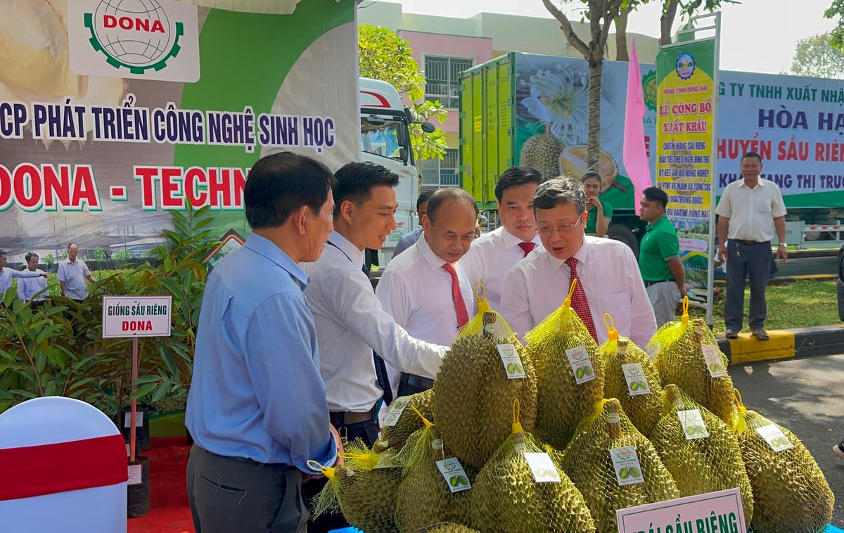 Sầu riêng của Đồng Nai xuất khẩu chính ngạch sang Trung Quốc.
