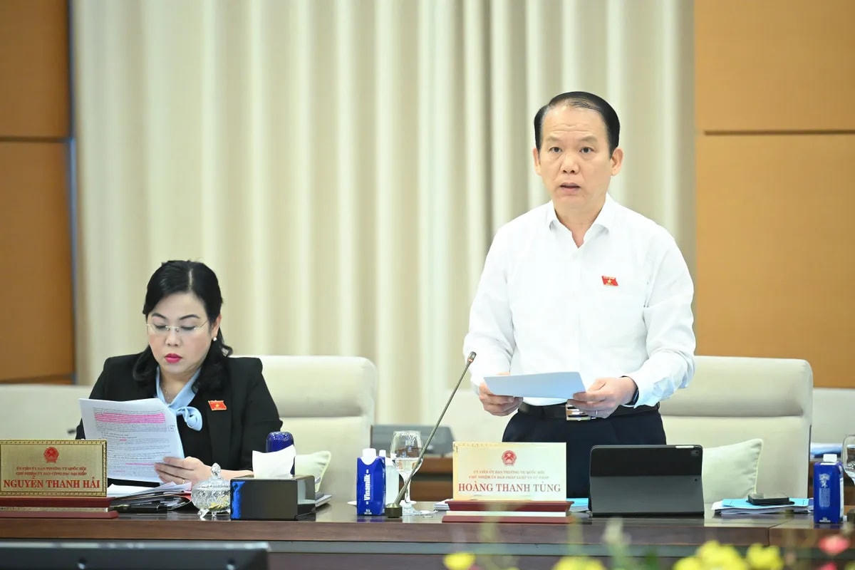 Tăng nhiều hơn thẩm quyền của Chủ tịch Ủy ban nhân dân sau sắp xếp - Ảnh 2.