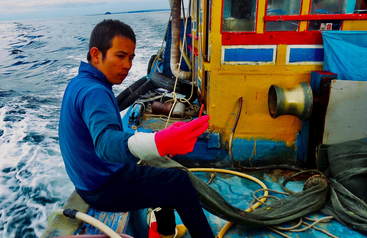 Ảnh 1-Ngư dân vui mùa cá hố